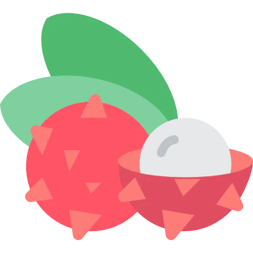 Lychee icon