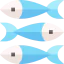 Sardines 图标 64x64
