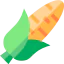 Corn 图标 64x64
