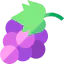Grapes 图标 64x64