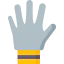 Glove ícono 64x64