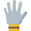 Glove іконка 64x64