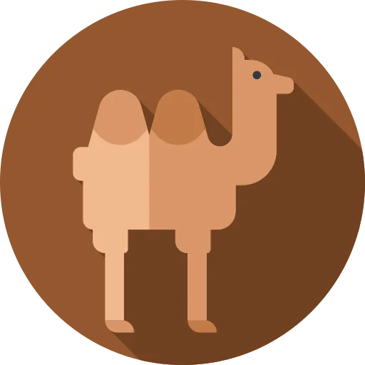 Camel icon