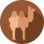 Верблюд иконка 64x64