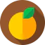 Orange ícono 64x64
