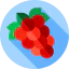 Grapes icon 64x64