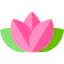 Lotus 图标 64x64