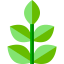 Herbal Symbol 64x64