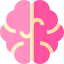 Brain 图标 64x64
