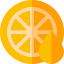 Citrus 图标 64x64