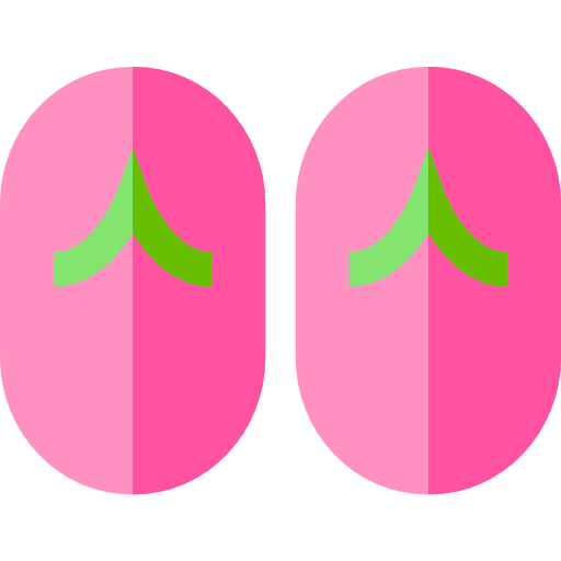 Flip flops icon