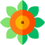 Flower ícone 64x64