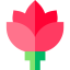 Lotus ícone 64x64