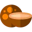 Coconut icon 64x64