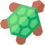 Turtle icon 64x64