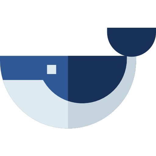 Whale icon