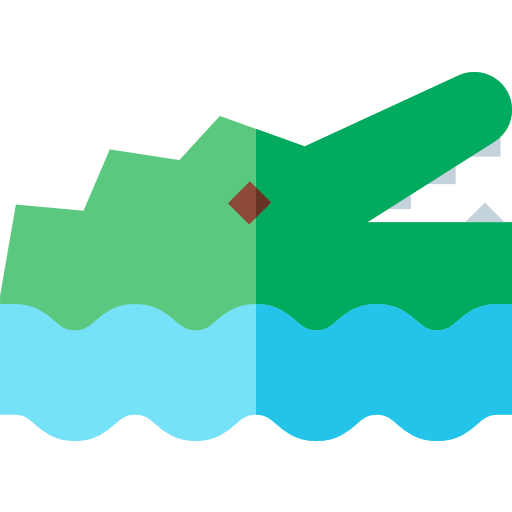 Crocodile icon