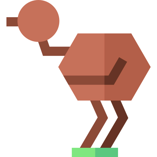 Emu icon