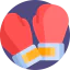 Boxing glove icon 64x64