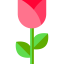 Rose ícone 64x64