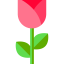 Rose icon 64x64