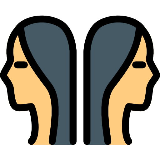 Gemini icon