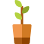 Plant icon 64x64