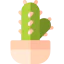 Cactus icon 64x64