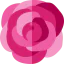 Rose icon 64x64