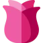 Rose icon 64x64