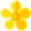 Hypericum icon 64x64