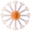 Dandelion icon 64x64