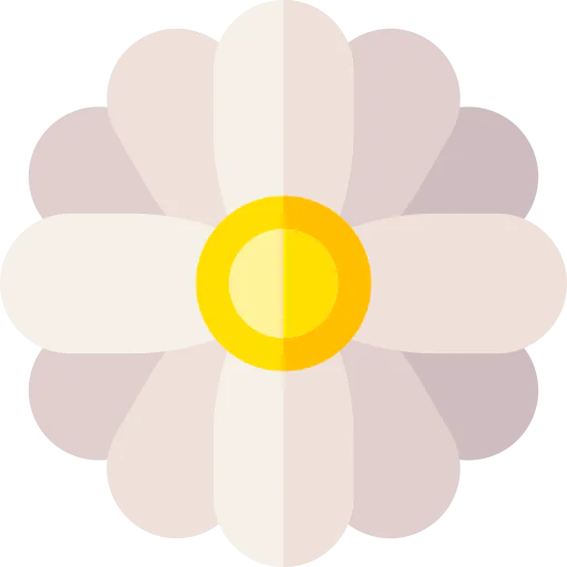 Chamomile icon