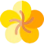 Flower icon 64x64