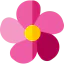 Oleander icon 64x64