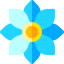 Flower icon 64x64