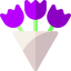 Bouquet icon 64x64