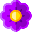 Daisy icon 64x64