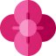 Poppy icon 64x64