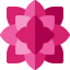 Poinsettia icon 64x64