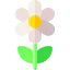 Flower icon 64x64