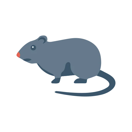 Rat icon