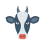 Cow icon 64x64