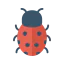 Ladybug icon 64x64