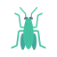 Bug icon 64x64