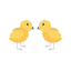 Chicks icon 64x64