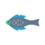 Fish icon 64x64