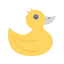 Duck icon 64x64