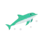 Dolphin icon 64x64