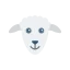 Sheep icon 64x64
